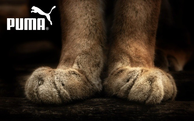 Реклама Puma