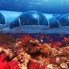 Poseidon Undersea Resort на Фиджи