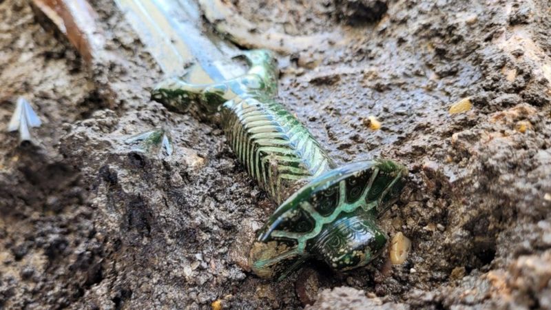 Бронзовий меч з Ньордлінгена